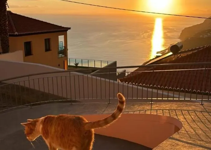 Beautiful View - - Ilha Da Madeira 3*